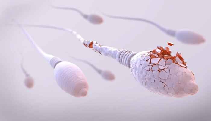 Breaking Down Oligospermia: Understanding Male Fertility Challenges