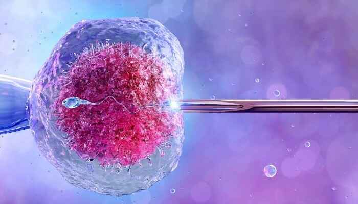 Top 7 reasons why people step back to get IVF